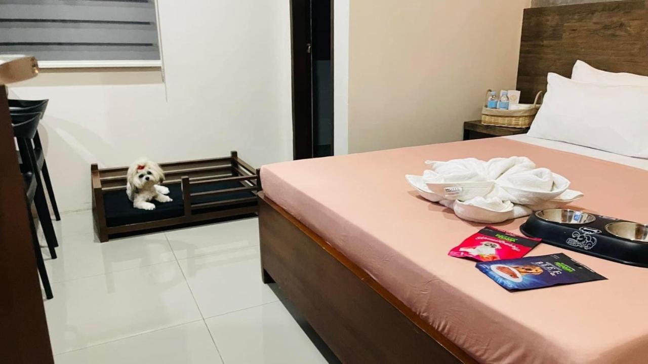 A&E Apartelle Bacolod Exterior photo